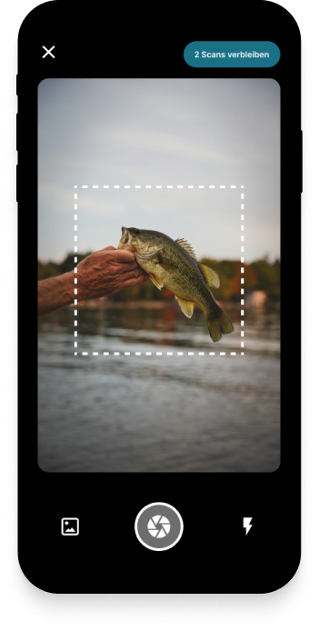 FishSnap App Screenshot